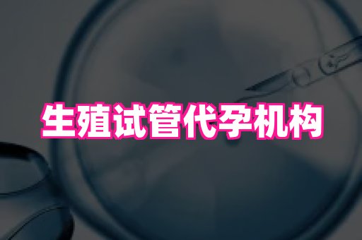 哈尔滨助孕网 2