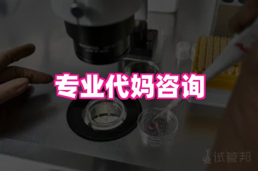 哈尔滨助孕网 4